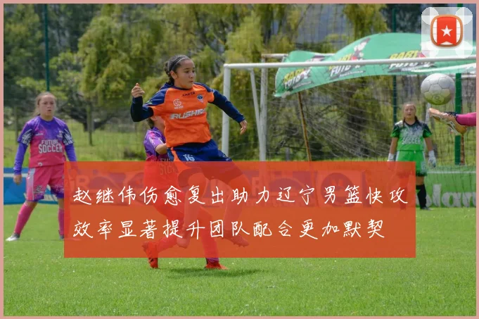 赵继伟伤愈复出助力辽宁男篮快攻效率显著提升团队配合更加默契