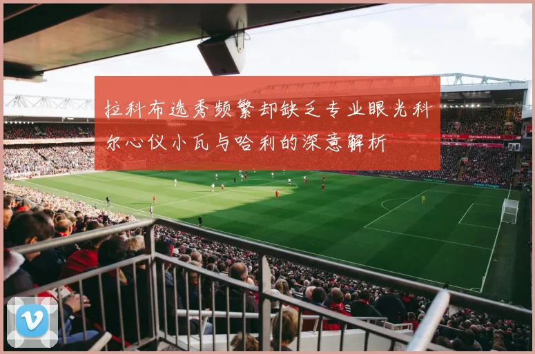 拉科布选秀频繁却缺乏专业眼光科尔心仪小瓦与哈利的深意解析