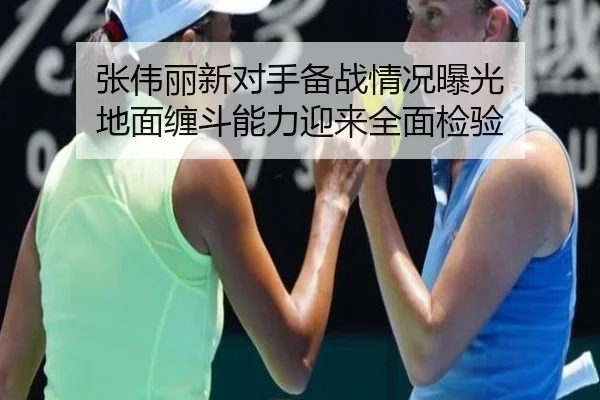 张伟丽新对手备战情况曝光 地面缠斗能力迎来全面检验